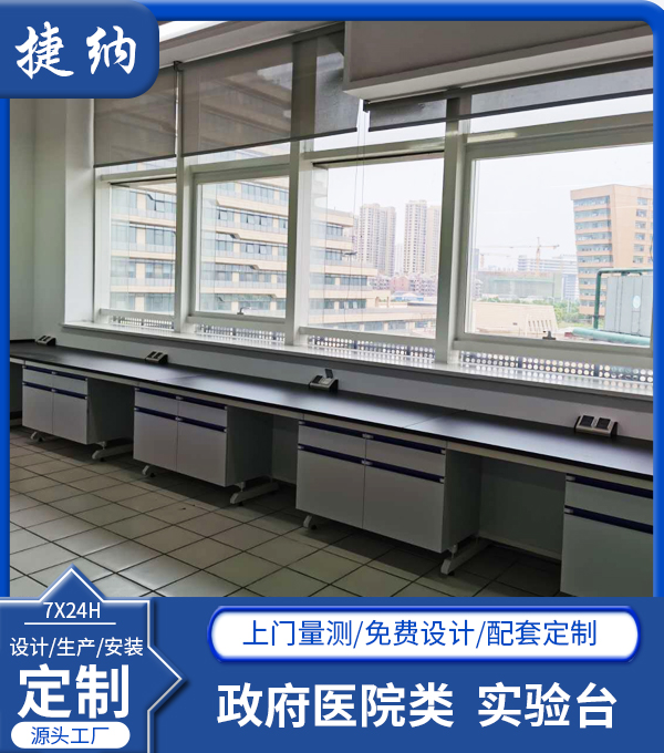 政府醫(yī)院類實驗臺/通風(fēng)柜